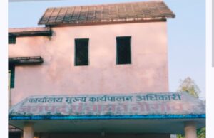 बिलर बिल अपलोड कर पंचायतों में फर्जीवाड़ा, न जांच न कार्रवाई की आंच
